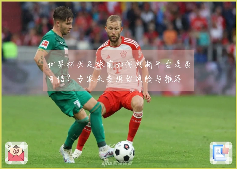 世界杯买足球前如何判断平台是否可信？专家来告诉你风险与推荐