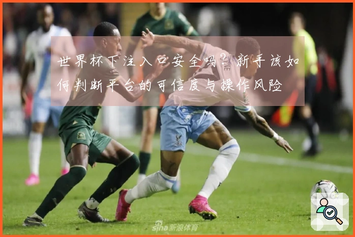 世界杯下注入口安全吗？新手该如何判断平台的可信度与操作风险