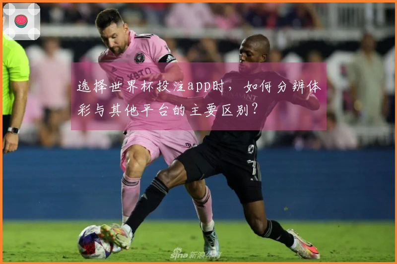 选择世界杯投注app时，如何分辨体彩与其他平台的主要区别？