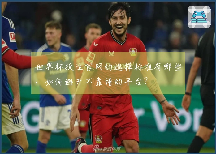 世界杯投注官网的选择标准有哪些，如何避开不靠谱的平台？