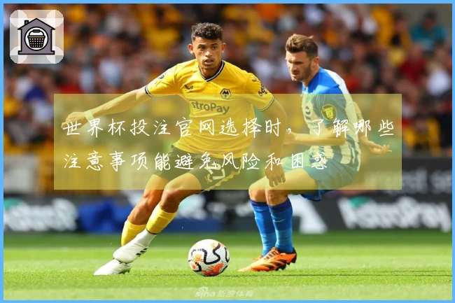 世界杯投注官网选择时，了解哪些注意事项能避免风险和困惑