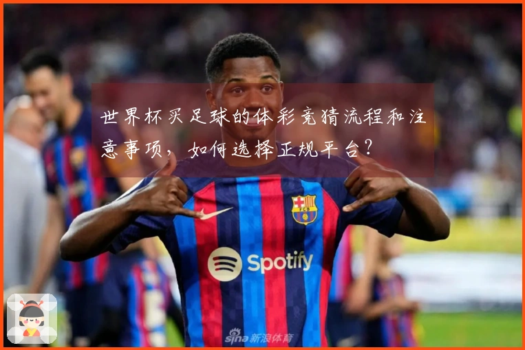 世界杯买足球的体彩竞猜流程和注意事项，如何选择正规平台？