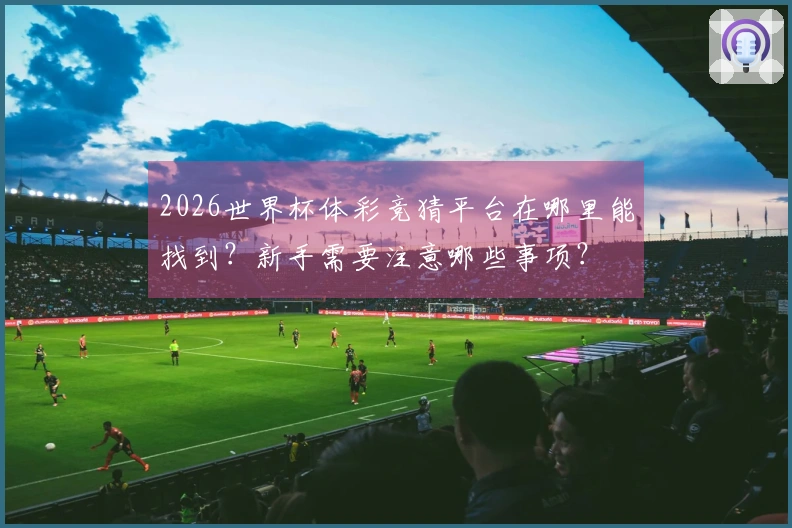 2026世界杯体彩竞猜平台在哪里能找到？新手需要注意哪些事项？