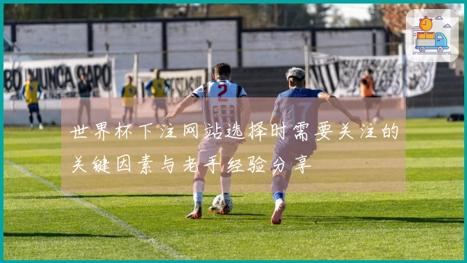 世界杯下注网站选择时需要关注的关键因素与老手经验分享