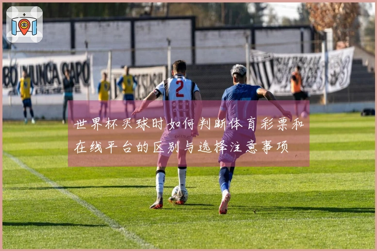 世界杯买球时如何判断体育彩票和在线平台的区别与选择注意事项