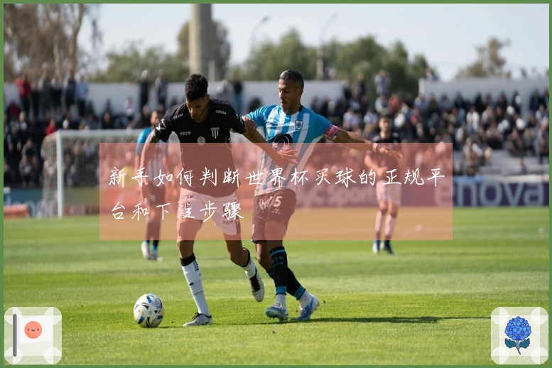 新手如何判断世界杯买球的正规平台和下注步骤