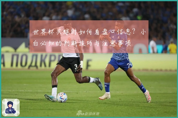 世界杯买球时如何看盘口信息？小白必知的判断技巧与注意事项
