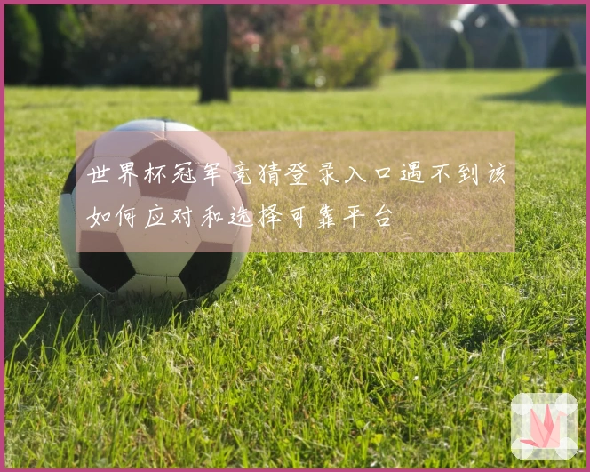 世界杯冠军竞猜登录入口遇不到该如何应对和选择可靠平台