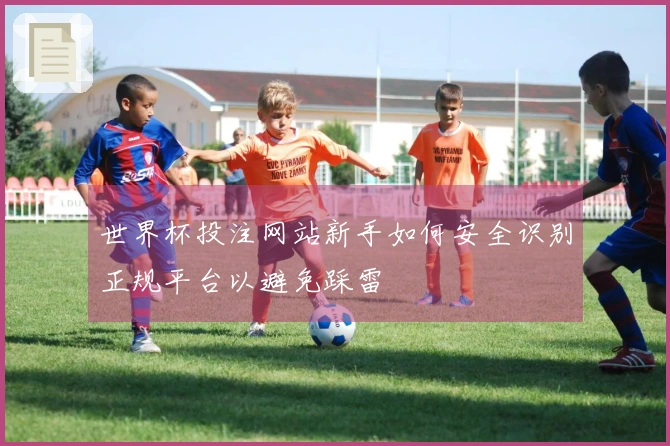 世界杯投注网站新手如何安全识别正规平台以避免踩雷