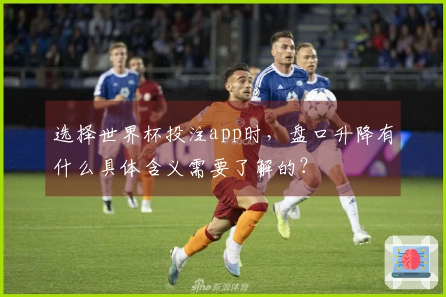 选择世界杯投注app时，盘口升降有什么具体含义需要了解的？