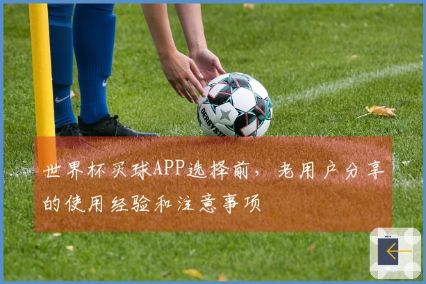 世界杯买球APP选择前，老用户分享的使用经验和注意事项