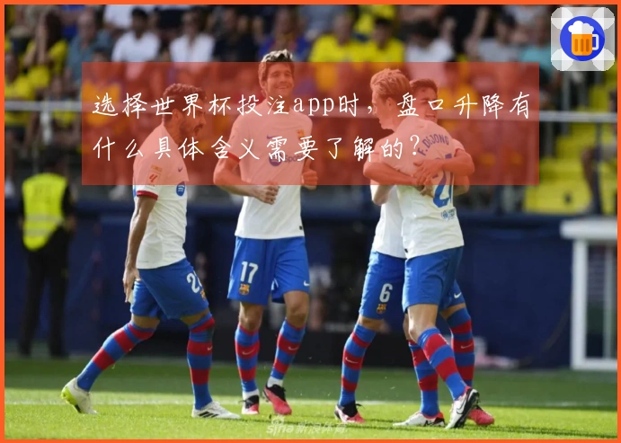 选择世界杯投注app时，盘口升降有什么具体含义需要了解的？