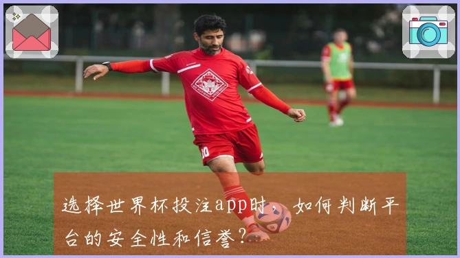 选择世界杯投注app时，如何判断平台的安全性和信誉？