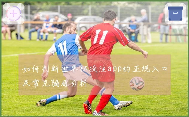 如何判断世界杯投注app的正规入口及常见骗局分析