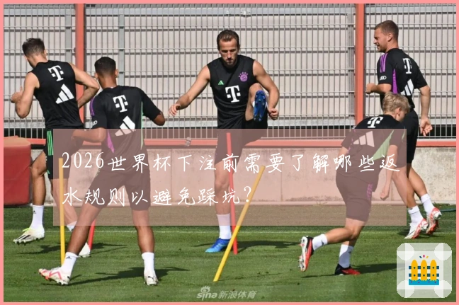 2026世界杯下注前需要了解哪些返水规则以避免踩坑？