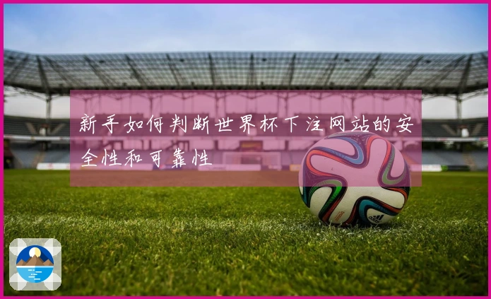 新手如何判断世界杯下注网站的安全性和可靠性