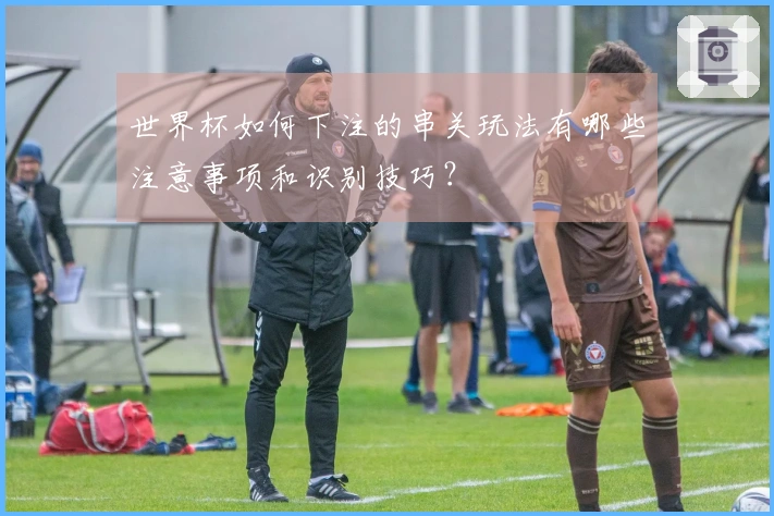 世界杯如何下注的串关玩法有哪些注意事项和识别技巧？