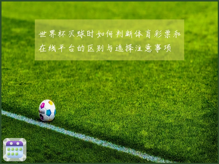 世界杯买球时如何判断体育彩票和在线平台的区别与选择注意事项