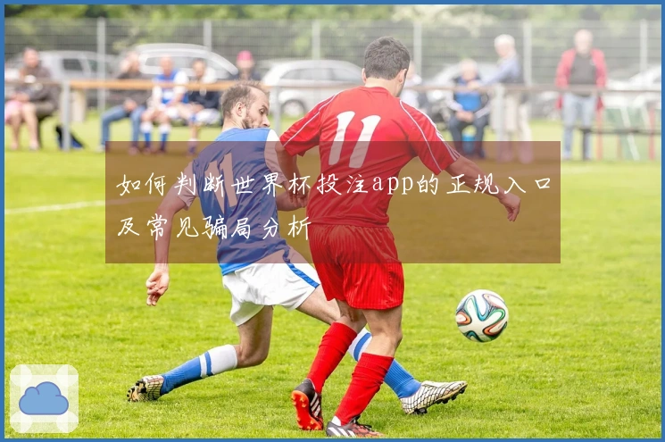 如何判断世界杯投注app的正规入口及常见骗局分析